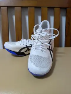 ASICS METASPEED SP 2 25cmのサムネイル