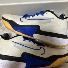 nike zoom bb nxt