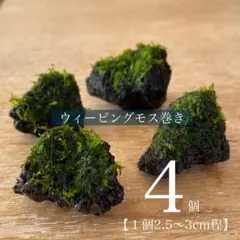 T.OGA jr【プロフ必読‼︎】様 リクエスト 2点 まとめ商品