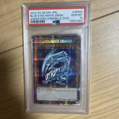 2025 BLUE-EYES WHITE DRGN GEM MT 10 - メルカリ
