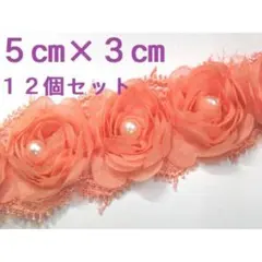 Item thumbnail for item 128a979e-3786-4554-a0ab-7d0e30d66d1f