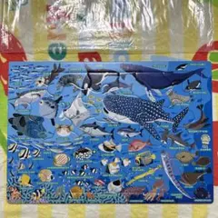 海の生き物　パズル