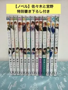 佐々木と宮野 全巻 平野と鍵浦 全巻 セット ノベル 特典 小冊子 公式同人誌 佐々木と宮野 全巻 平野と鍵浦 全巻 セット ノベル 特典 小冊子