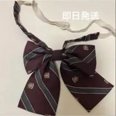 学生服 リボン エンブレム柄 ボルドー