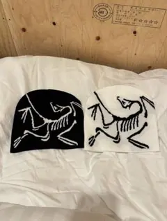 ビーニー　y2k 2点