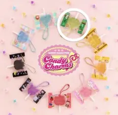 サンリオキャラクターズキャンディーチャームコレクション ポチャッコ