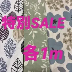 オックス生地 3種セット