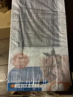 ライザのアトリエ3 ライザ 日焼け水着Ver. 1/6