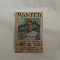 北海道日本ハムファイターズ　ワンピースコラボステッカー　水谷瞬