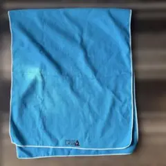 LAVA青いメッシュヨガマット