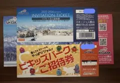 SKIJAM スキージャム勝山リフト & ビキッズパーク 1日ご招待券セット！