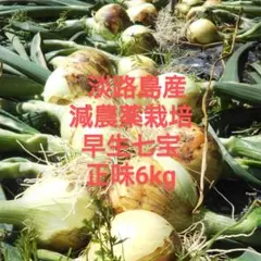 専用 中生玉ねぎ 農薬不使用 80size - メルカリ