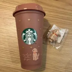 Starbucks バレンタイン2026カラーチェンジングタンブラー473ml