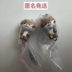 miniteen ディノのサムネイル