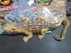 トイザらス限定 クロコダイル&Co.アンドコ オリノコワニ（金）レア！鰐