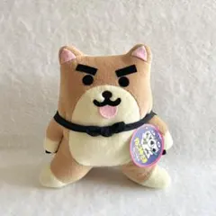 2026年最新】ねこぢる ぬいぐるみの人気アイテム - メルカリ