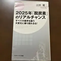 2025年「脱炭素」のリアルチャンス : すべての業界を襲う大変化に乗り遅れる…