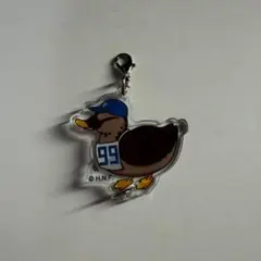 日ハム シークレット カルガモ隊 レイエス