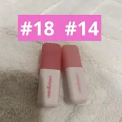 す*こ様 カラーグラム ヌーディーブラーティント 2本