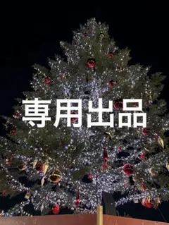 dd様 リクエスト 2点 まとめ商品