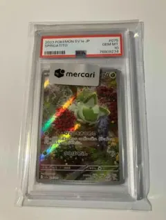 PSA10】ポケモンカードゲーム ニャオハ ニャローテ AR 連番 2枚セット