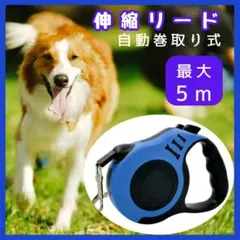 犬用 散歩リード 伸縮式 5m 青 小型 中型犬 ワンタッチ式 自動巻取式
