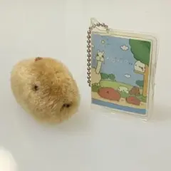 カピバラさんグッズ2点セット ちびふわマスコット スナップ＆チェーン付きメモ