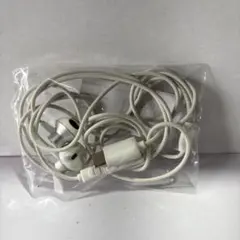 ホワイト 有線イヤフォン USBコネクタ