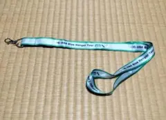 ✨ほぼ未使用・値下げ✨ANA ネックストラップ Blue Hanger Tour