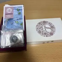 ベリーのアクセサリー作成キット　千趣会