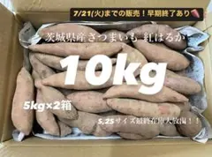 【あと4日で終了】【熟成済】訳あり茨城県産さつまいも紅はるか10kgのサムネイル