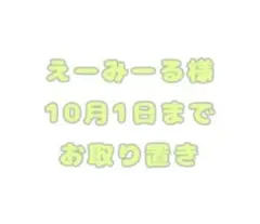えーみーる@グッズ整理中様 リクエスト 2点 まとめ商品