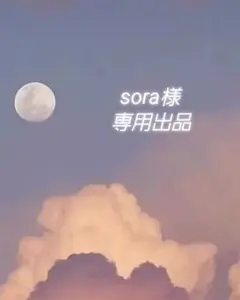 sora様 リクエスト 2点 まとめ商品