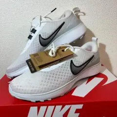 25cm NIKE インフィニティ エース ネクスト DX0127-100