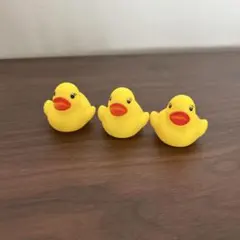 アヒル