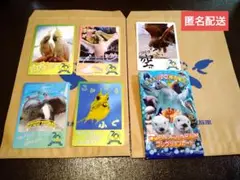 鳥羽水族館 コレクションカード ノーマル 5枚セット 外袋付き