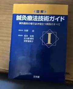 鍼灸禁忌マニュアル 矢野忠 医歯薬出版 美品 - メルカリ