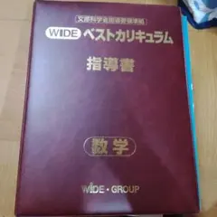 2026年最新】数学指導書の人気アイテム - メルカリ