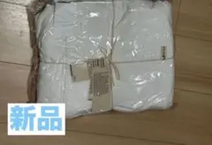 Item thumbnail for item 89d18e26-b20f-44b9-8d9f-fbc7ccae8b52