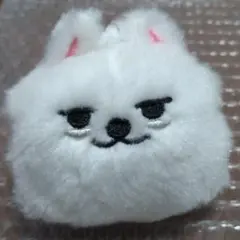 PPULBATU ヨンモン フェイスキーリング TXT スビンのサムネイル