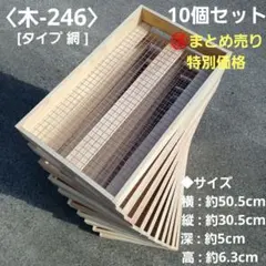 2026年最新】多肉植物トレイ棚の人気アイテム - メルカリ