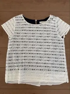 any sis レースストライプ半袖Tシャツ　オンワード