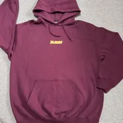 美品　XLARGE (エクストララージ)メンズパーカー Ｍ　ミニロゴ