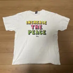 Stussy INCREASE THE PEACE Tシャツ