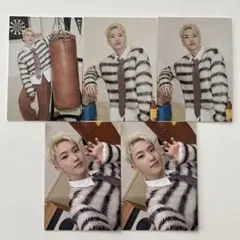 SEVENTEEN holiday japan 2025 トレカ　ホシ