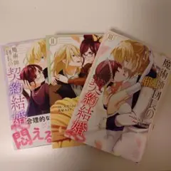 魔術師団長の契約結婚(コミック)(3)(完)