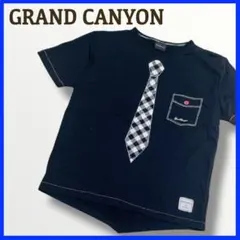 2025年最新】GRAND CANYON 柄・デザイン：プリント（ロゴなど