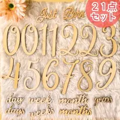 Just Born ＋ 木製レターバナー マンスリーフォト20点セット