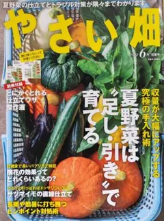 やさい畑 夏野菜は足し、引きで育てる 2022年6月号