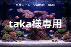 2026年最新】ライブロックレプリカの人気アイテム - メルカリ